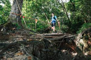 BIB: 
                            <button type="button" onclick="openModal(27799774)" class="btn btn-primary btn-sm float-right btn-popup" data-toggle="modal" data-target=".modal-high-quality">
                        <i class="fas fa-shopping-cart"></i> Add to Cart
                    </button>
                                            <button type="button" onclick="isThisMe(27799774, true)" class="btn btn-success btn-sm float-right btn-popup btn-isme hidden" data-toggle="tooltip" data-placement="bottom" title="นี่คือรูปของคุณใช่ไหม คลิกที่นี่เพื่อเอาเข้าอัลบั้ม">
                        <i class="fas fa-plus"></i> Add to album
                    </button>
                    <button type="button" onclick="isThisMe(27799774, false)" class="btn btn-warning btn-sm float-right btn-popup btn-isnotme hidden">
                        <i class="fas fa-ban"></i> Remove from album
                    </button>